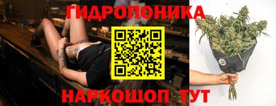 spice Тара
